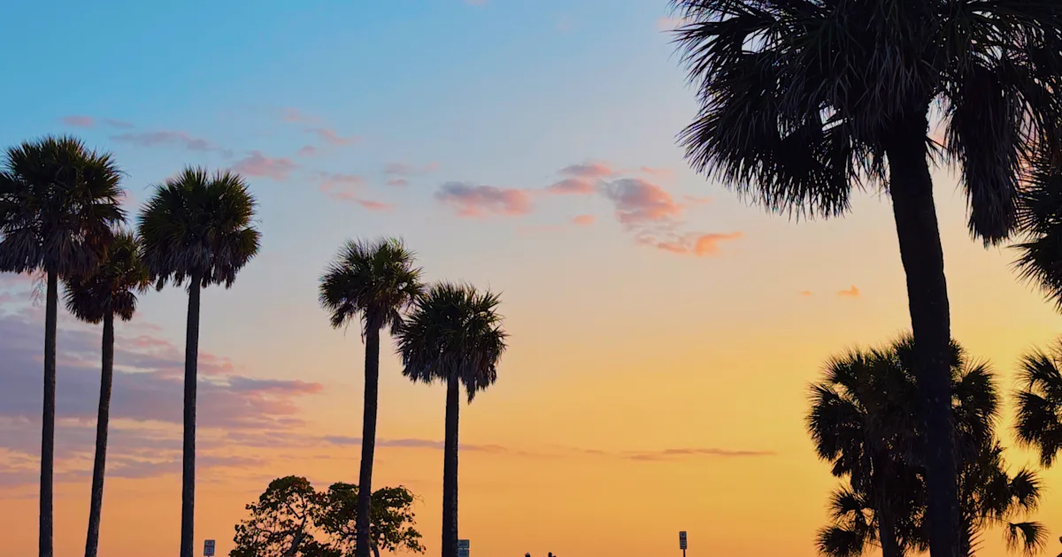 Silhouetted palm trees against a warm pastel sunset, evoking the tropical destinations like Cancun and Los Cabos featured in our Memorial Day weekend award flight deals.
