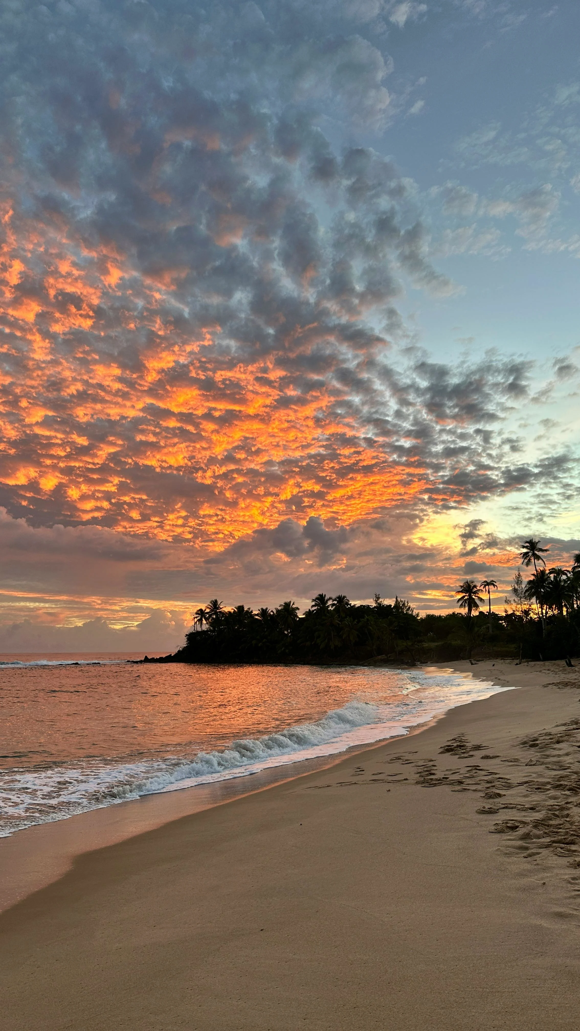 Sunset over a Puerto Rico beach with orange clouds reflecting on the water and palm trees along the shore