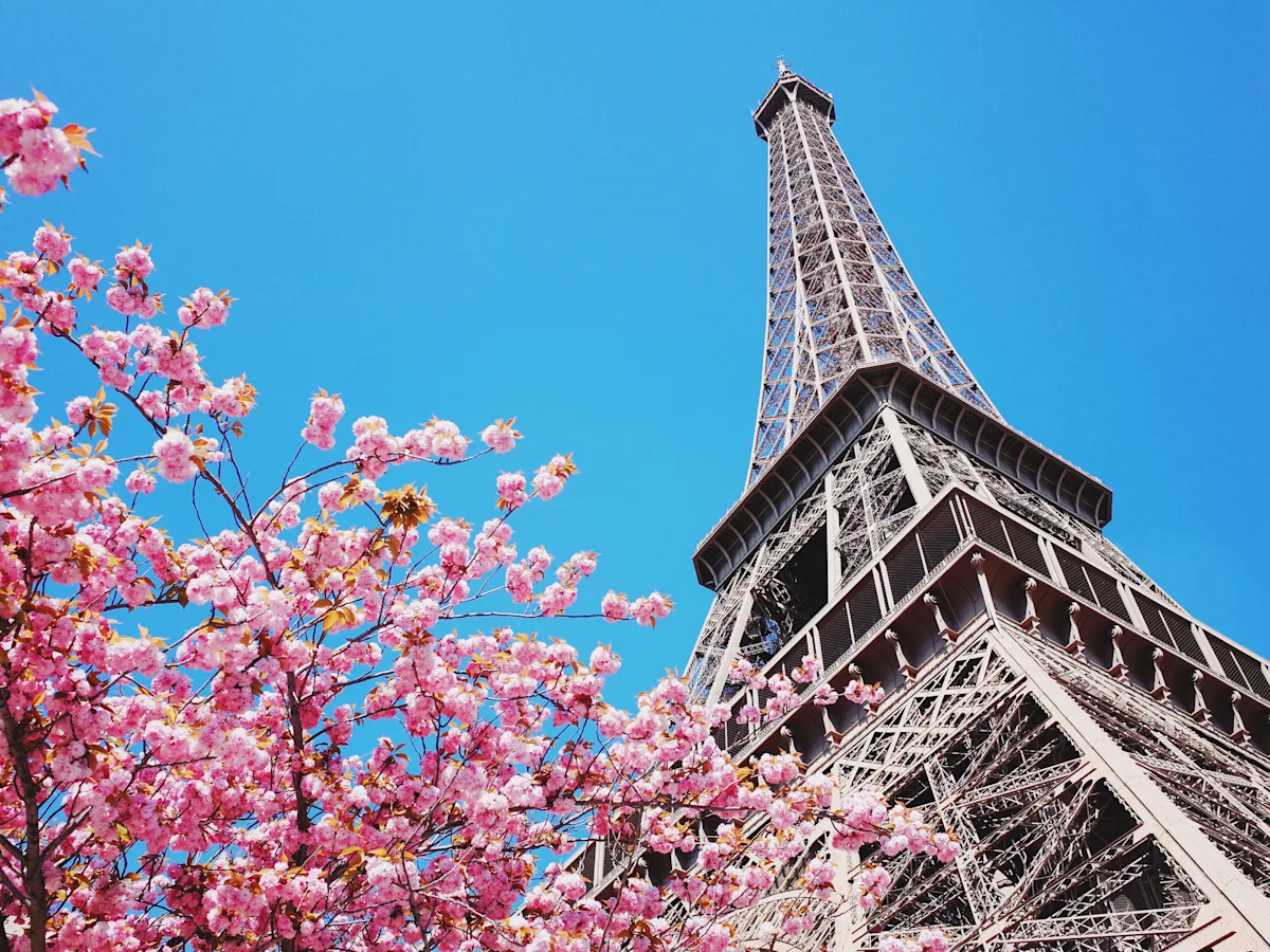 The Paris skyline with the Eiffel Tower, illustrating a guide to the city's best places to eat and stay.
