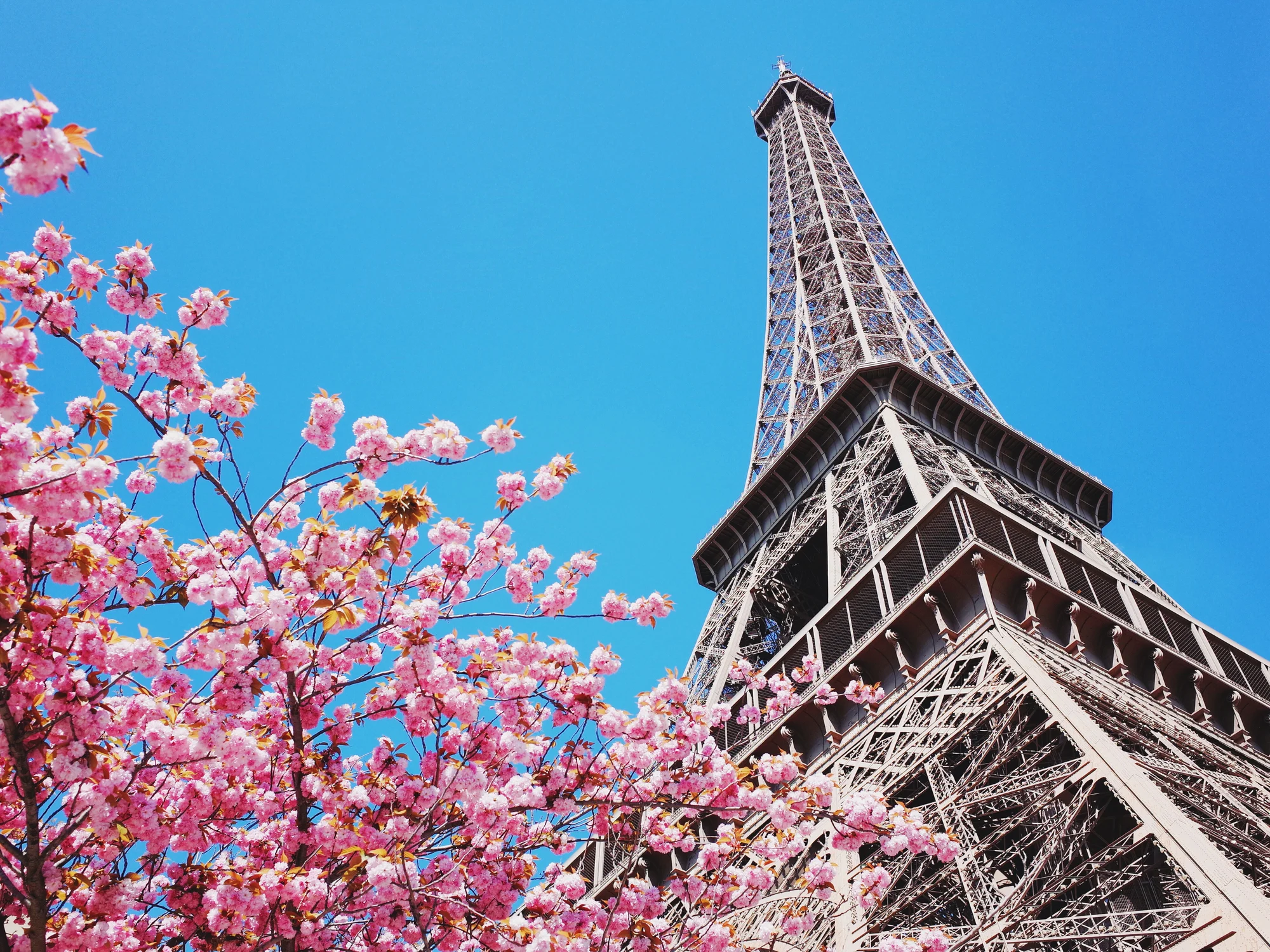 The Paris skyline with the Eiffel Tower, illustrating a guide to the city's best places to eat and stay.