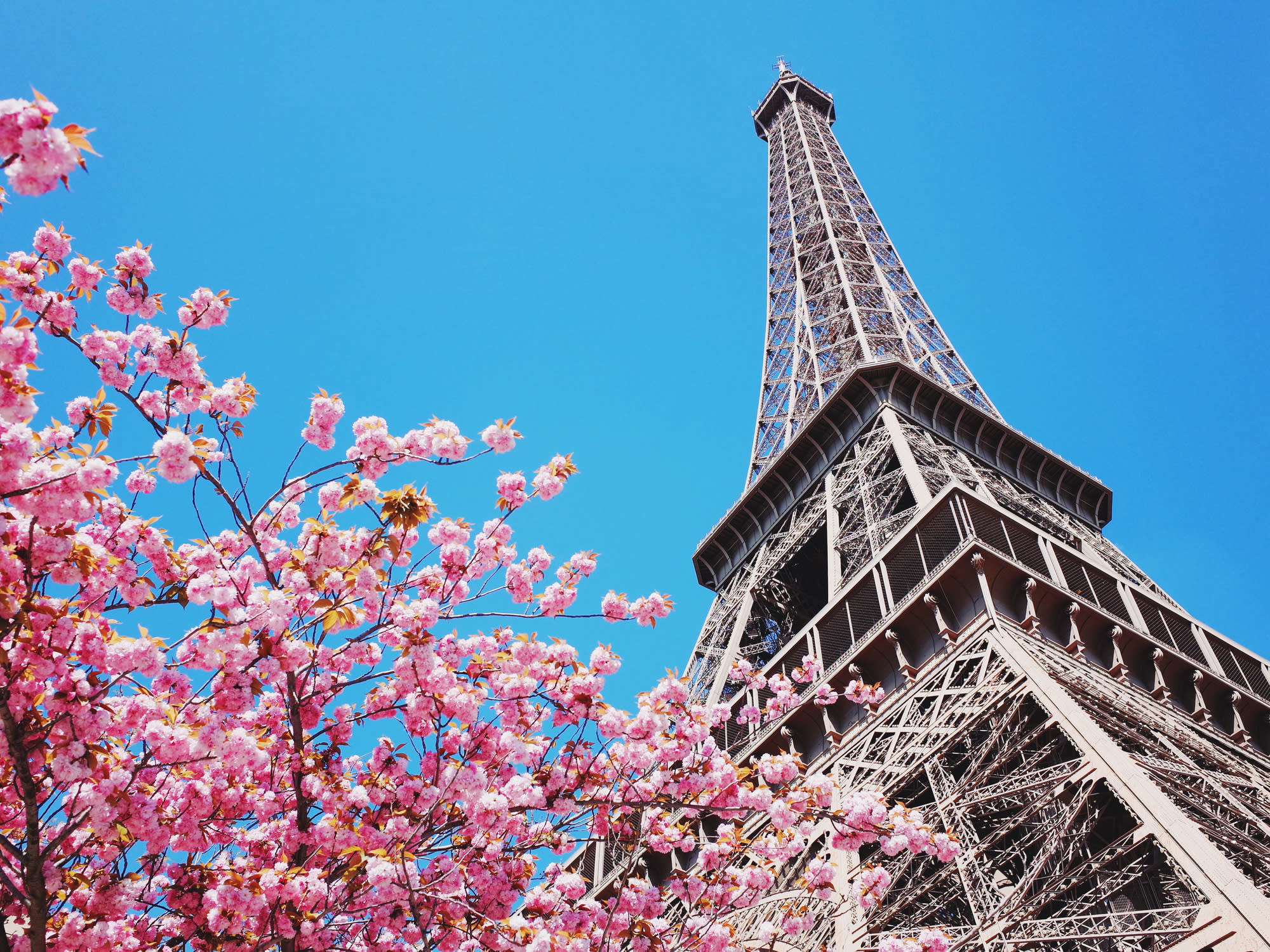 Featured image for Guide to Paris: The Best Places to Eat, Stay and Explore