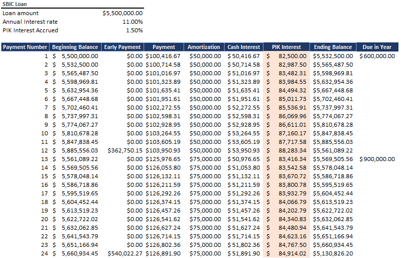 PIK interest - Example 1