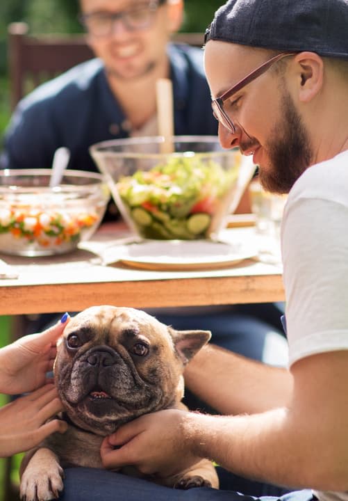 Resources for Real Estate Problems Stone Property Buyers