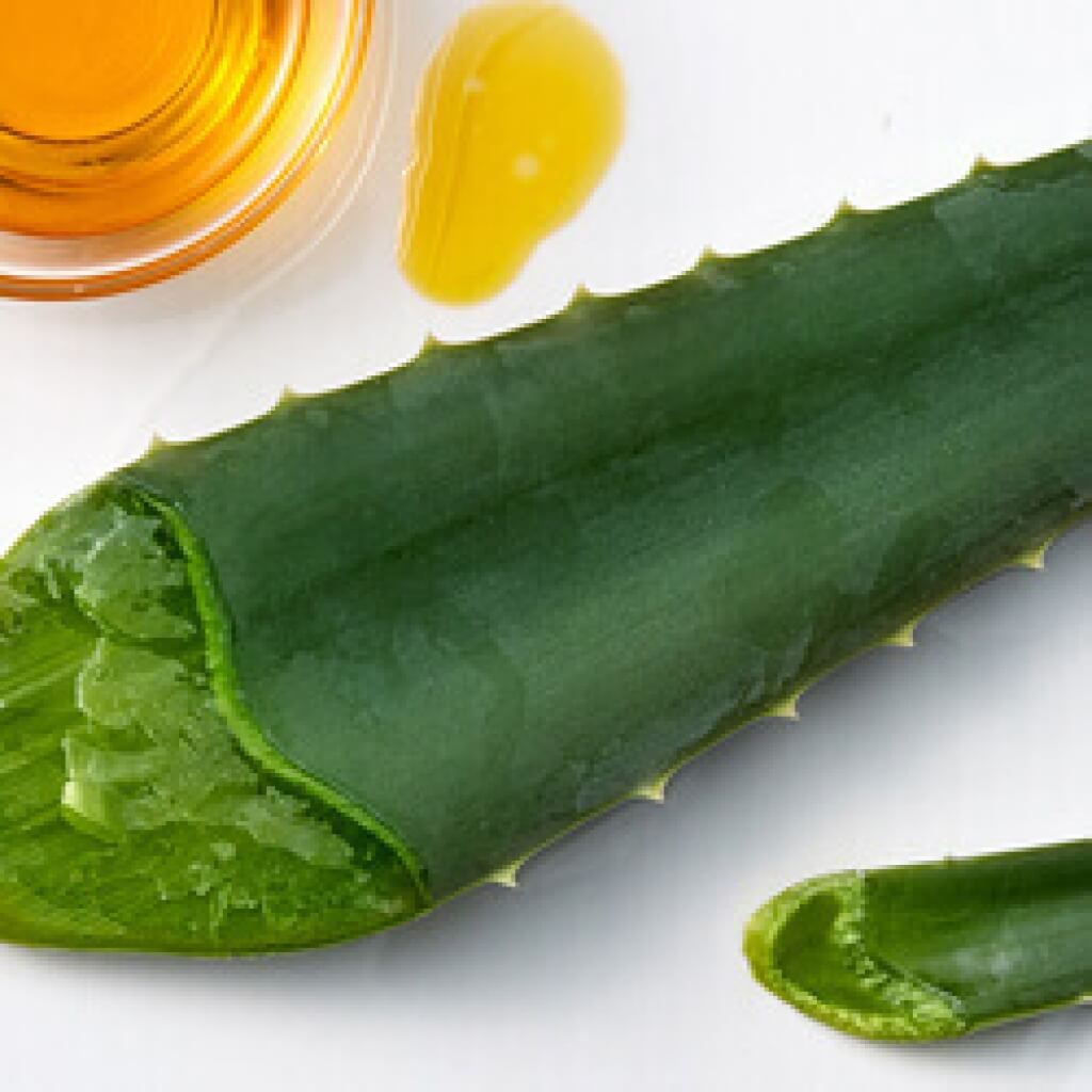 natural aloe ingredients