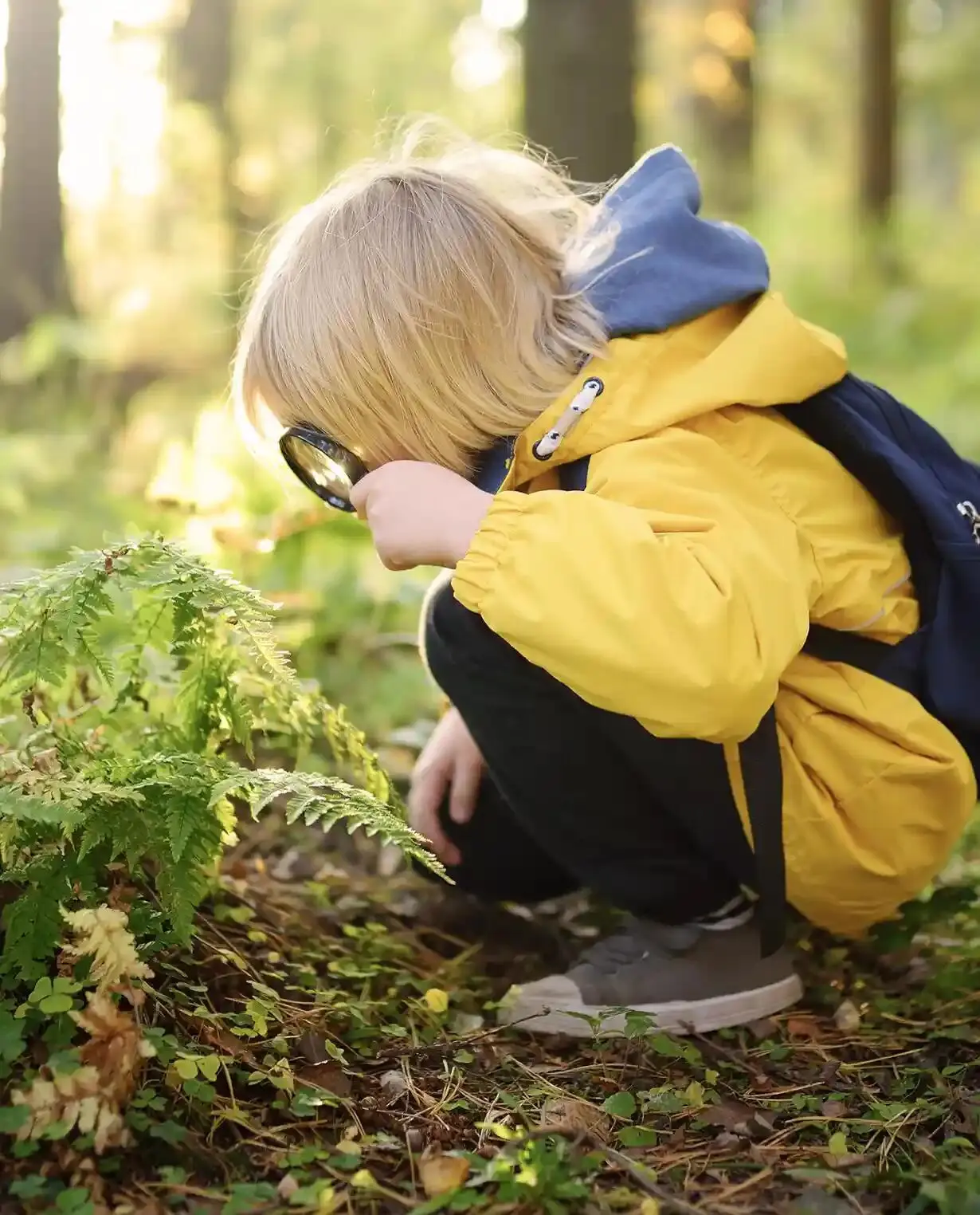criança com lupa investiga plantas