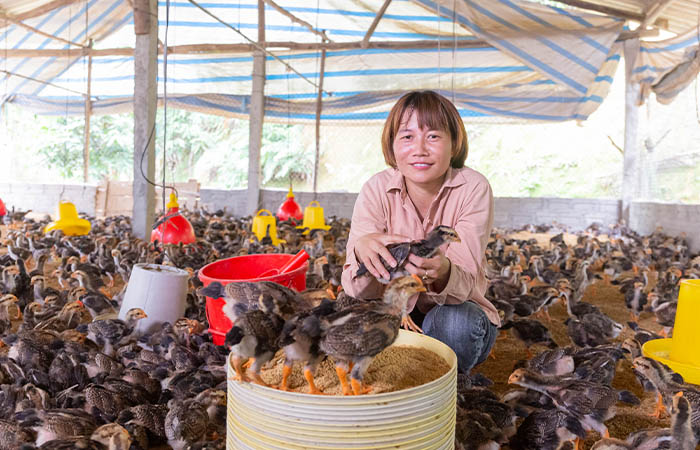 An Asian woman crouches down in front of a basket. She smiles while surrounded by numerous chickens.