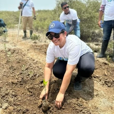 Plantation Activity