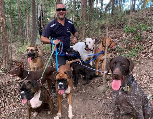 David With A Pack Of Happy Dogs