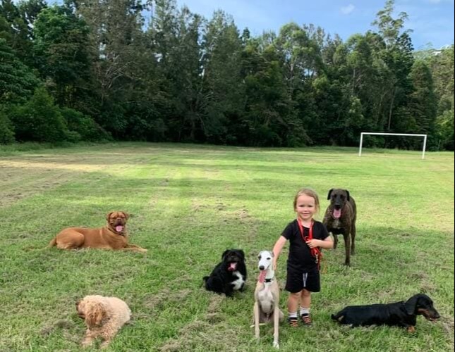 Training Four Paws  - Doggies With George