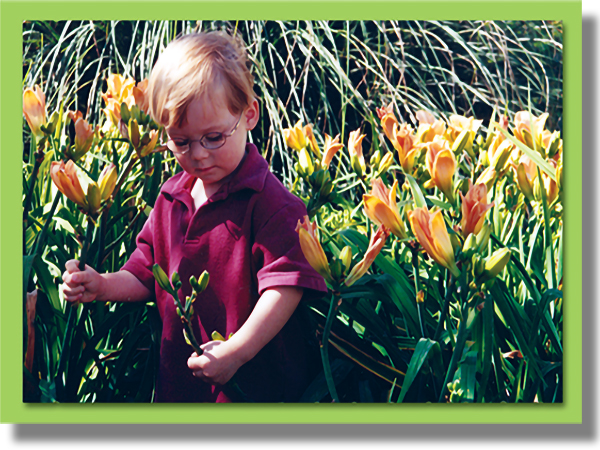 A small child picking flowers
