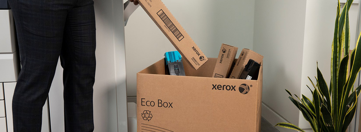 Person recycling into an eco friendly Xerox box