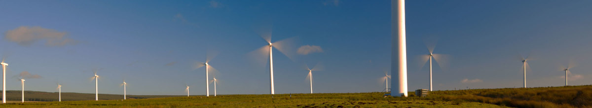 A row of wind turbines