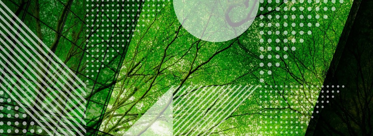 abstract image of green trees