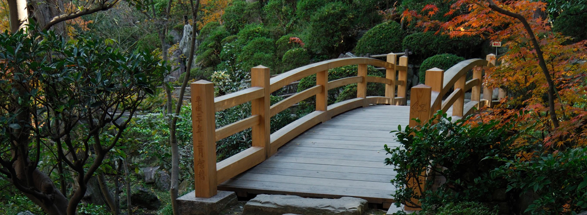 A bridge in the woods