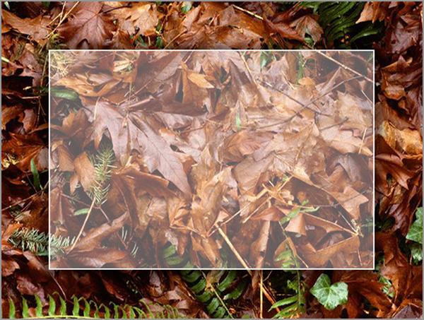 Leaves with Border Powerpoint Template