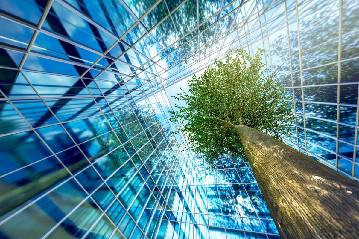 Glass building with tree in the middle.