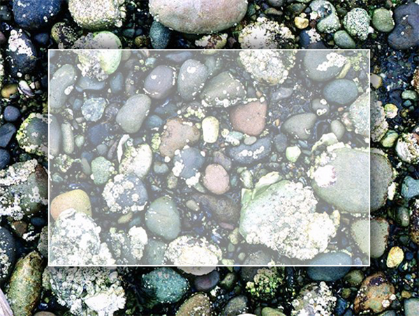 Rocks with Border Powerpoint Template