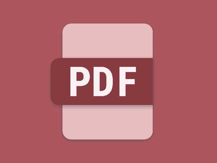 Icon representing Workflow Central Convert to PDF function