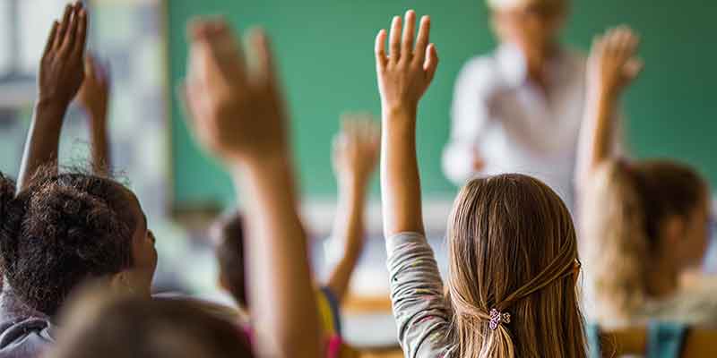 Students raising their hands in class