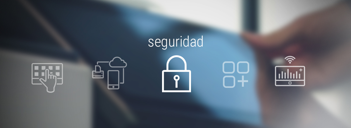 seguridad