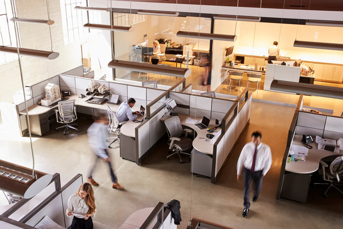 People walking around the office and sitting in cubicles.