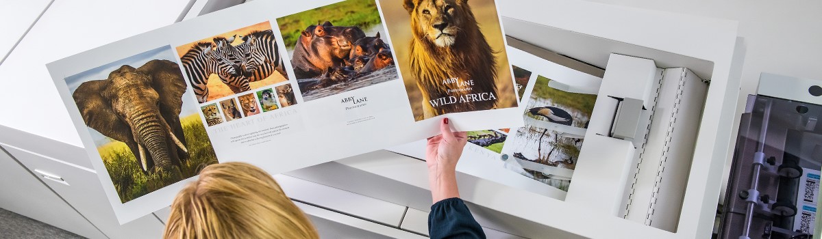 elephant lion zerbra print samples