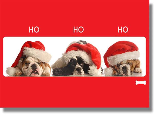 Ho Ho Ho Santa Dogs Card