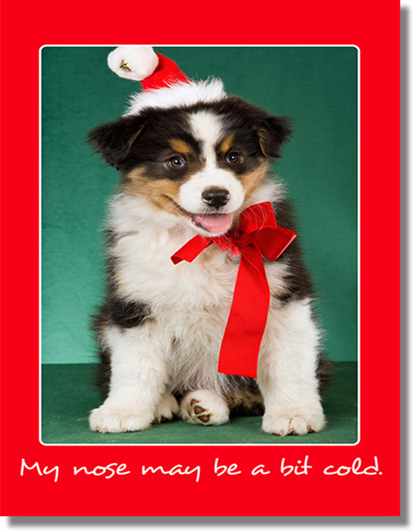Santa Puppy Card