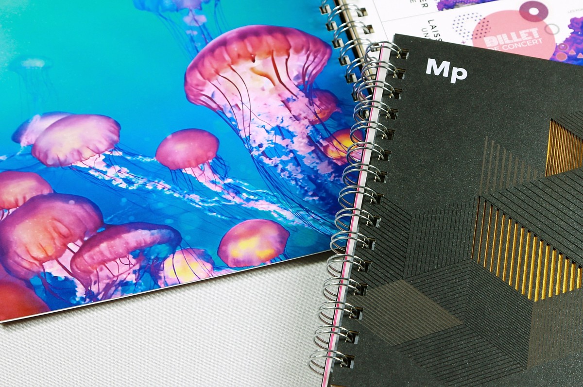 Spiral bound book with black and gold cover, brightly covered jellyfish