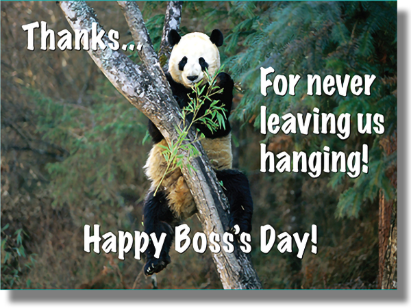 Panda in a tree, with the text "Thanks for never leaving us hanging"