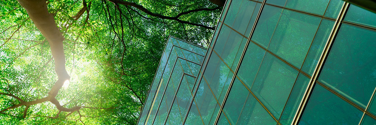 glass building treesjpg