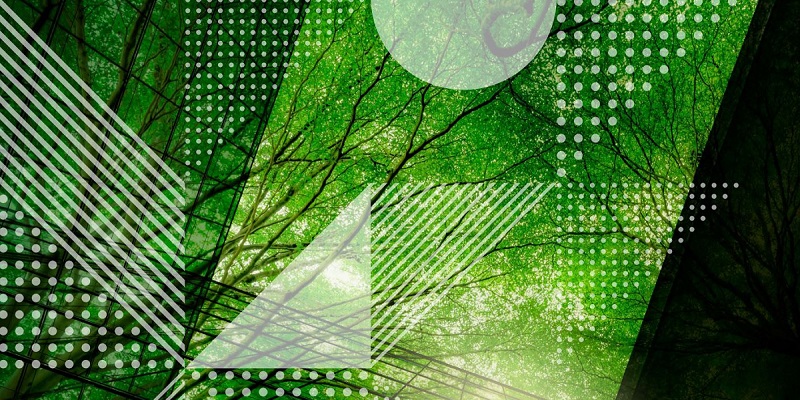 csr cover image abstract green tree