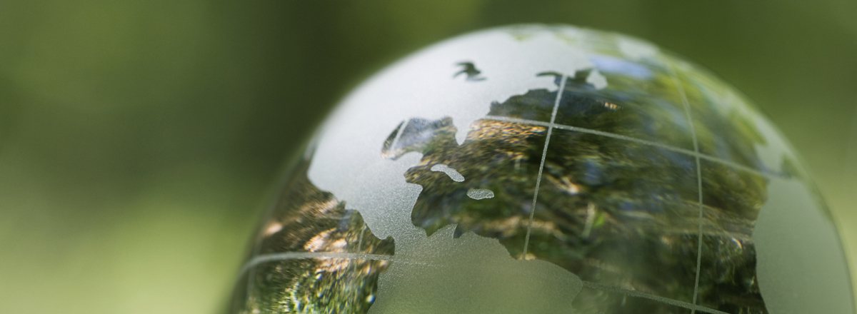 A green reflective globe 