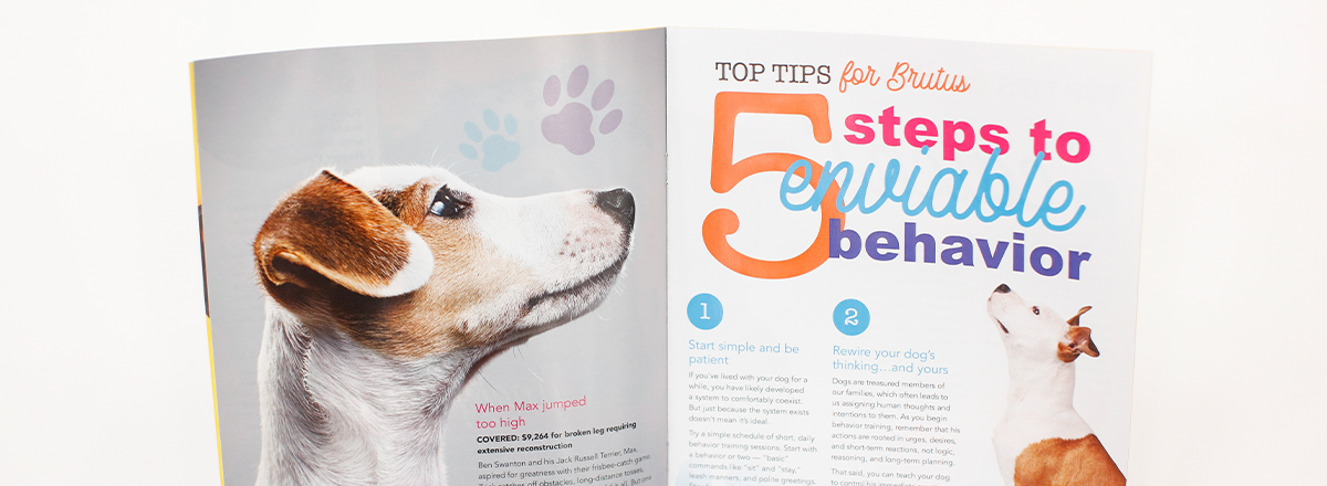 Magazine pages with a photo of a dog and the headline "TOP TIPS for Brutus. 5 steps to enviable behavoir"