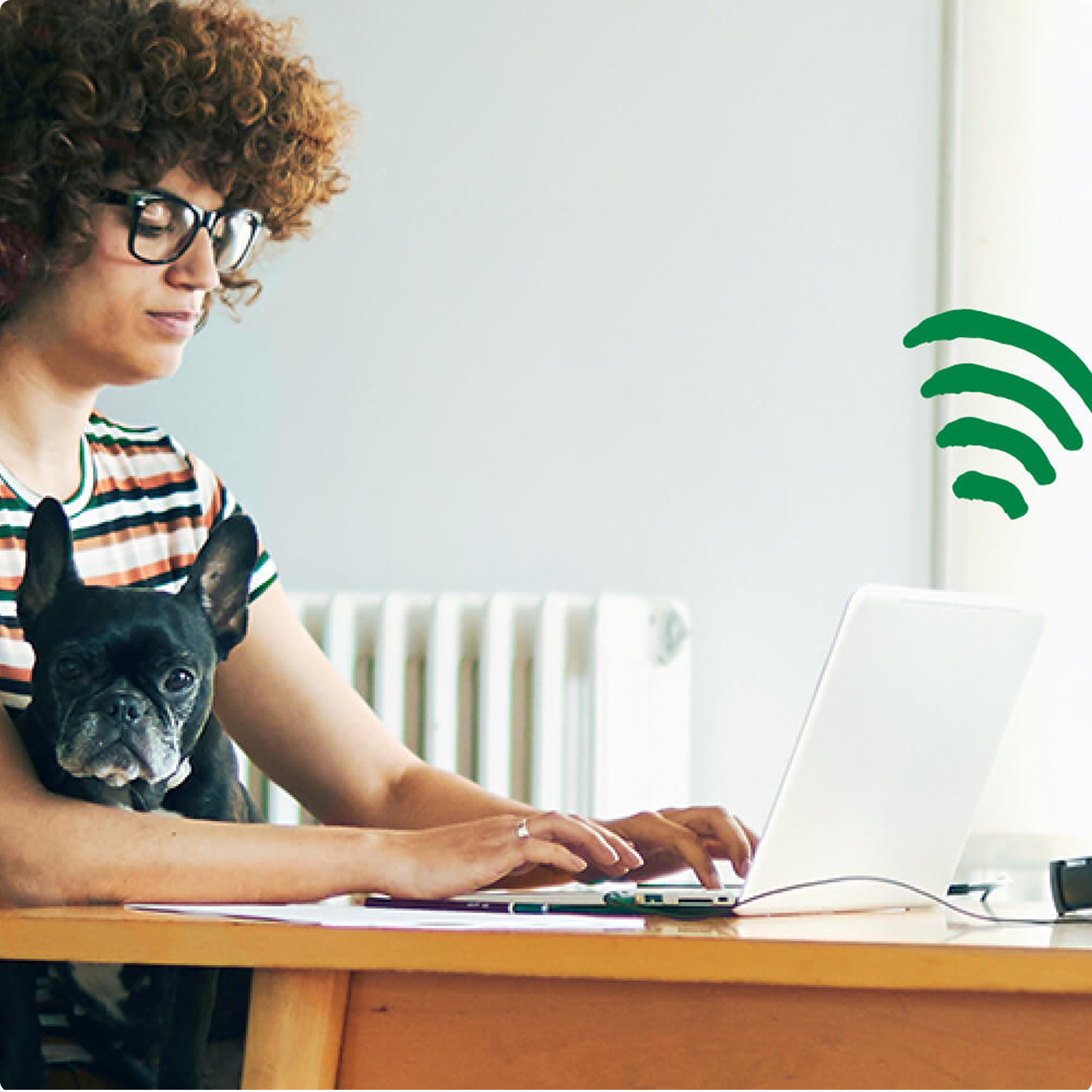 A person typing on their laptop with a dog on their lap.