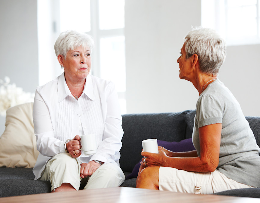 Besøgstjenester - venner på tværs