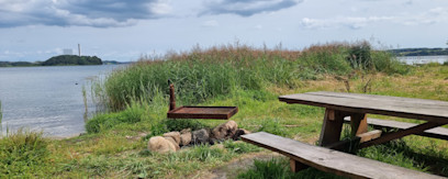 Elvig Høj picnicplads
