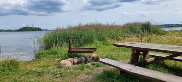 Elvig Høj picnicplads