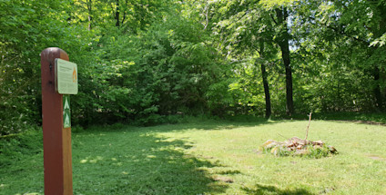 Fovslet Skov teltplads