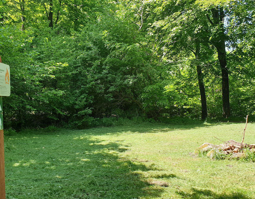 Fovslet Skov teltplads