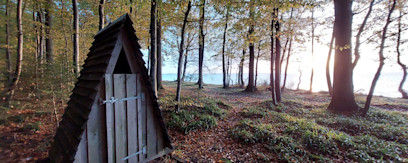 13156aed-ff64-470a-b0b2-3171aa062c6c