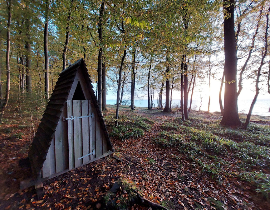 13156aed-ff64-470a-b0b2-3171aa062c6c