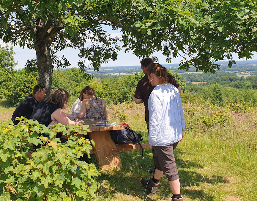 Picnic på Bjerget ved Skamlingsbanken
