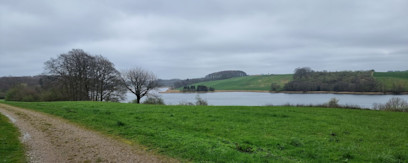 c492191e-e07f-4b3b-b84f-a4ac3936d7f0