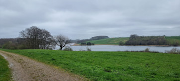 c492191e-e07f-4b3b-b84f-a4ac3936d7f0