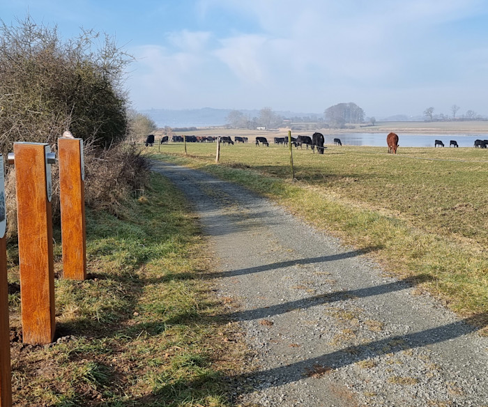 Solkær Enge - oplevelsessti