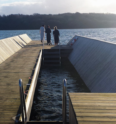 Vinterbadning Lyshøj