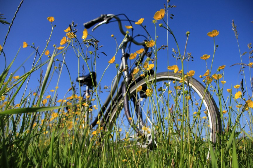 Cykelruter i det åbne land