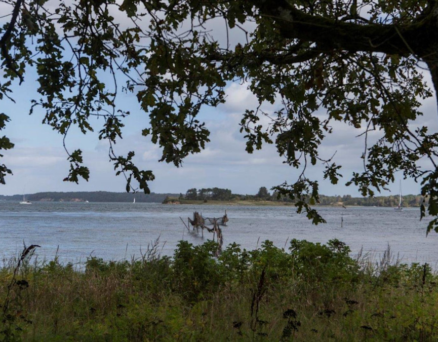 1a667ff8-6396-4ccf-ab16-d02c2616bb21