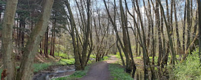Dalby Møllestien